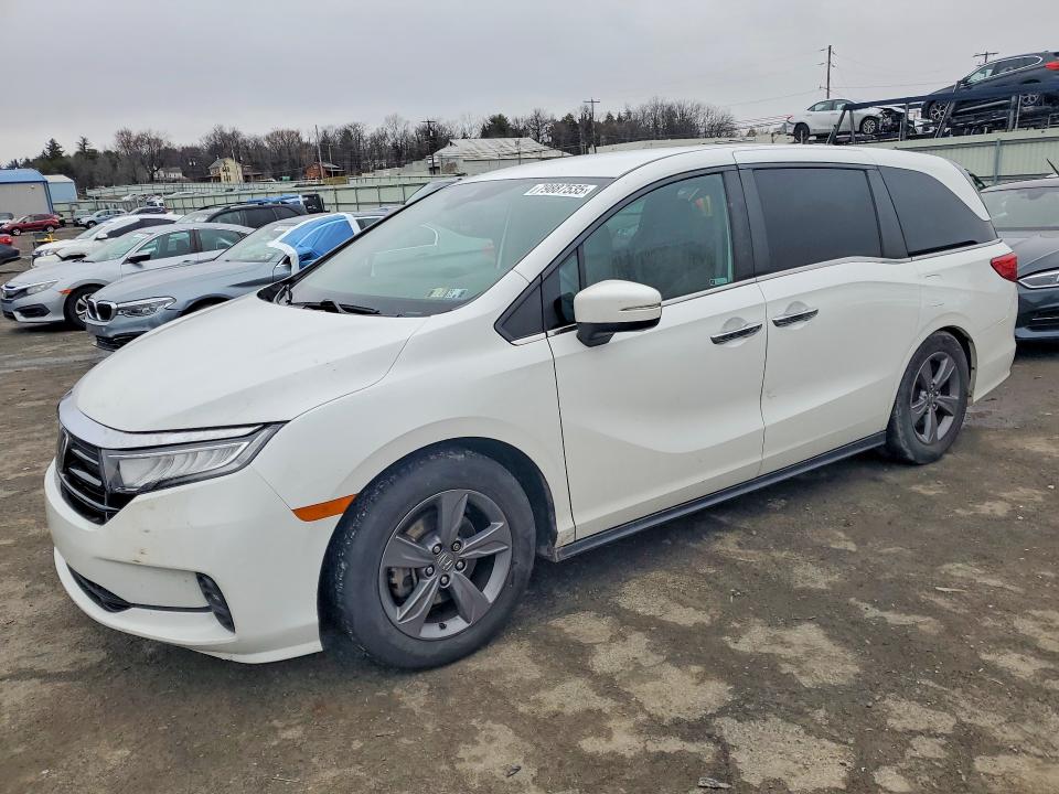 2021 HONDA ODYSSEY — VIN 5FNRL6H51MB031136