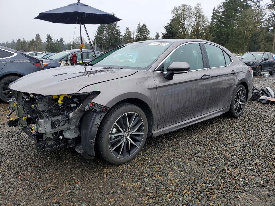 2024 TOYOTA CAMRY HYBRID — VIN 4T1S31AK9RU072175