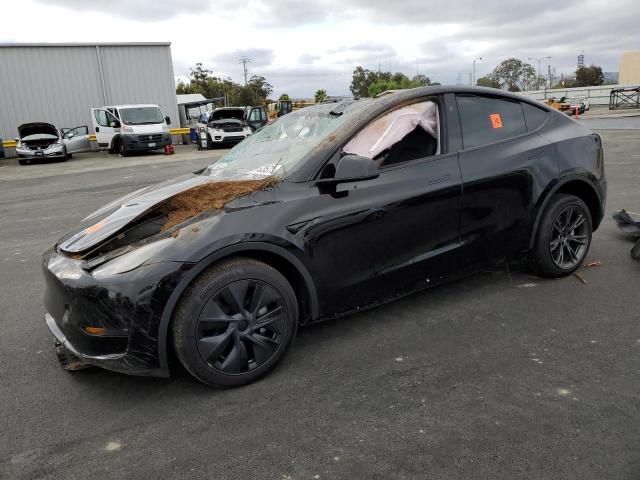 2024 TESLA MODEL Y — VIN 7SAYGDEE6RF150710