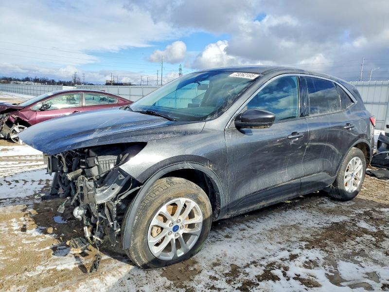2020 FORD ESCAPE — VIN 1FMCU9G6XLUC64206