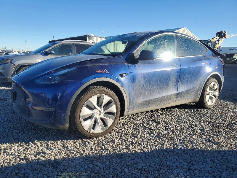 2023 TESLA MODEL Y — VIN 7SAYGDEE8PF643530