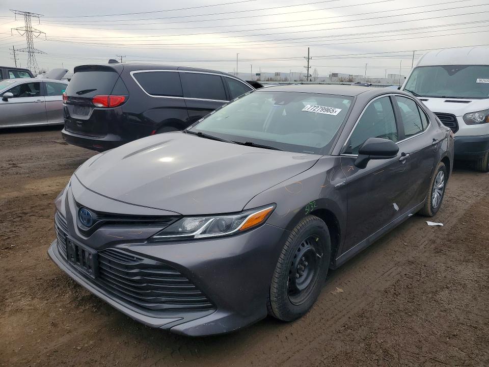 2019 TOYOTA CAMRY — VIN 4T1B31HK5KU006279