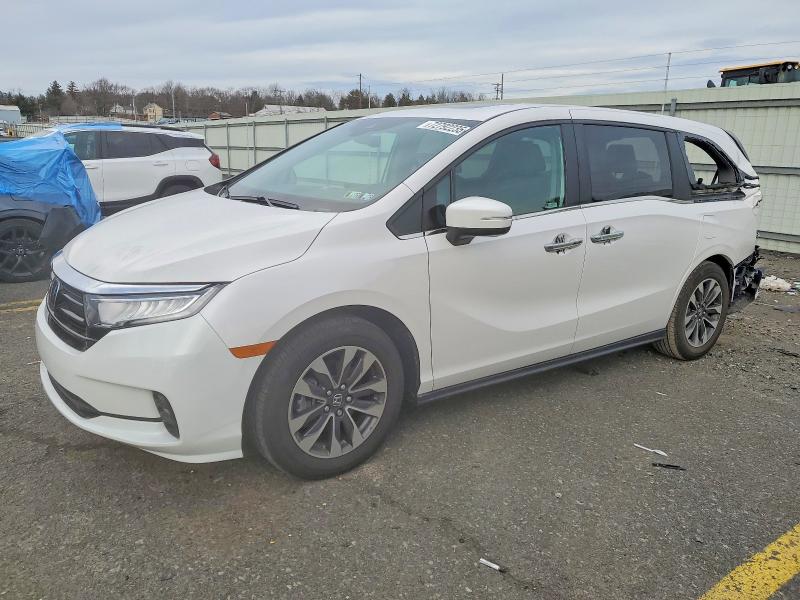 2024 HONDA ODYSSEY — VIN 5FNRL6H65RB064446