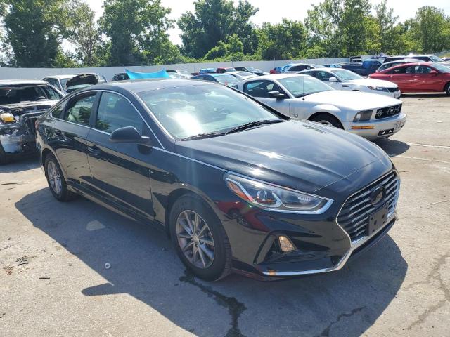 5NPE24AFXKH817511