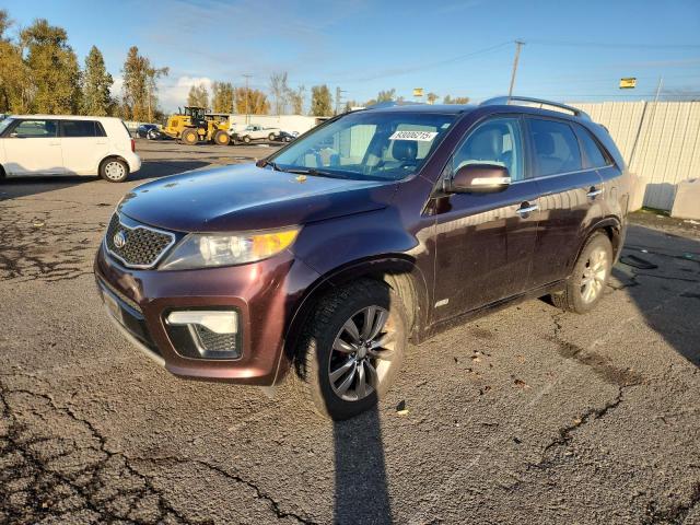 2013 KIA SORENTO SX — VIN 5XYKWDA25DG367233