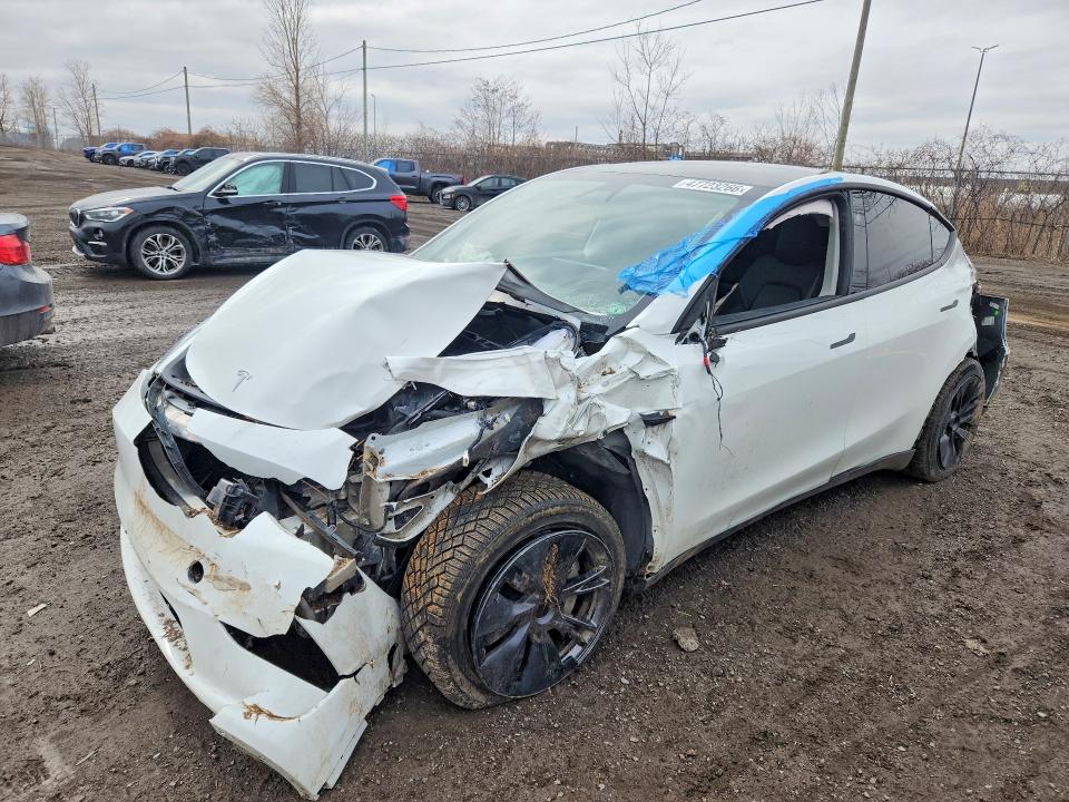 2024 TESLA MODEL Y — VIN 7SAYGDEE3RF109676
