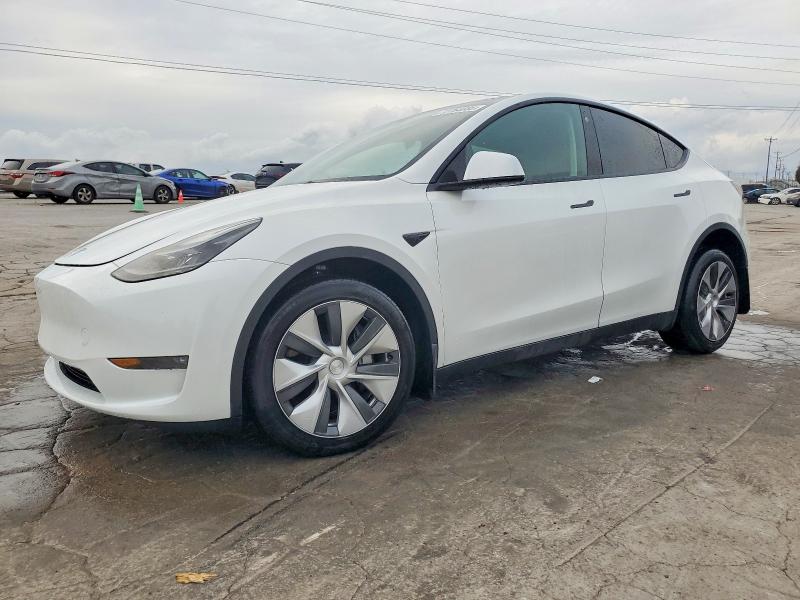 2023 TESLA MODEL Y — VIN 7SAYGDEE8PF666600