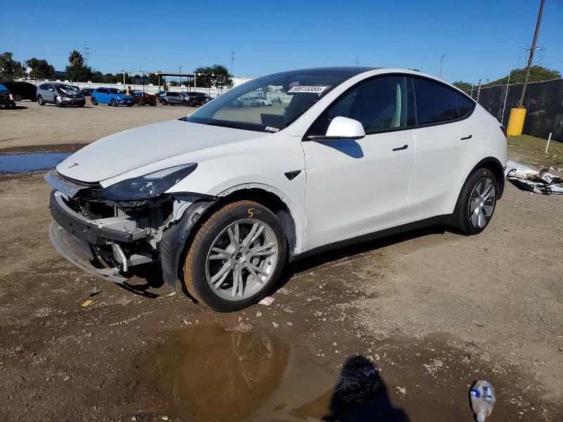 2024 TESLA MODEL Y — VIN 7SAYGDEE5RA256272