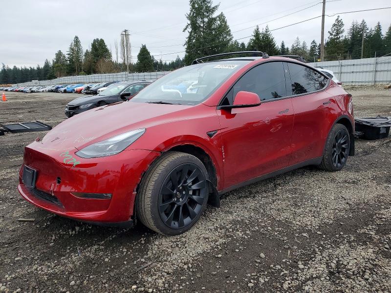 2024 TESLA MODEL Y — VIN 7SAYGDEE5RF066393