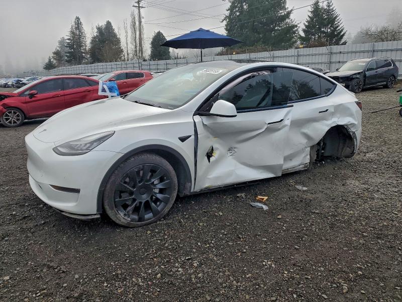 2021 TESLA MODEL Y — VIN 5YJYGDEE1MF078580