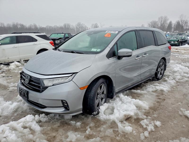 2023 HONDA ODYSSEY EX — VIN 5FNRL6H51PB078137