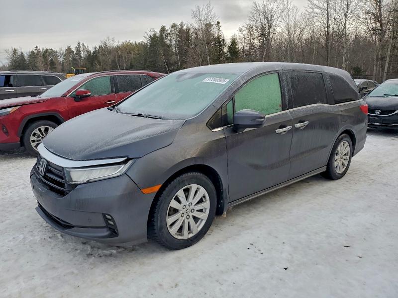 2023 HONDA ODYSSEY — VIN 5FNRL6H89PB503985