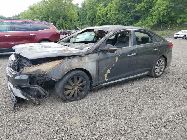 2015 HYUNDAI SONATA SPO — VIN 5NPE34AF7FH194562