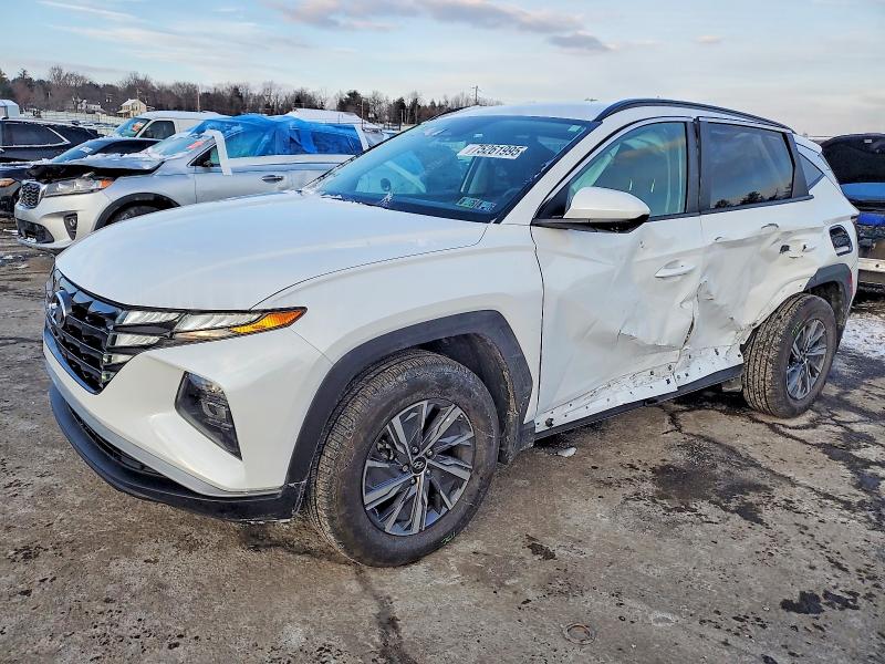 2024 HYUNDAI TUCSON BLU — VIN KM8JBCD10RU194789
