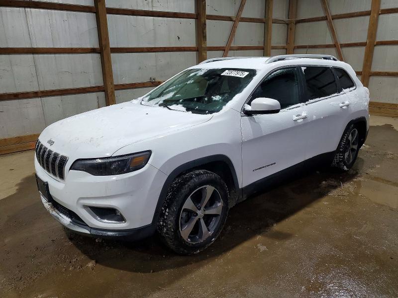 2019 JEEP CHEROKEE — VIN 1C4PJMDX8KD282104