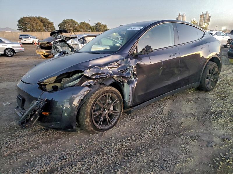 2025 TESLA MODEL Y — VIN 7SAYGDED4SF280739