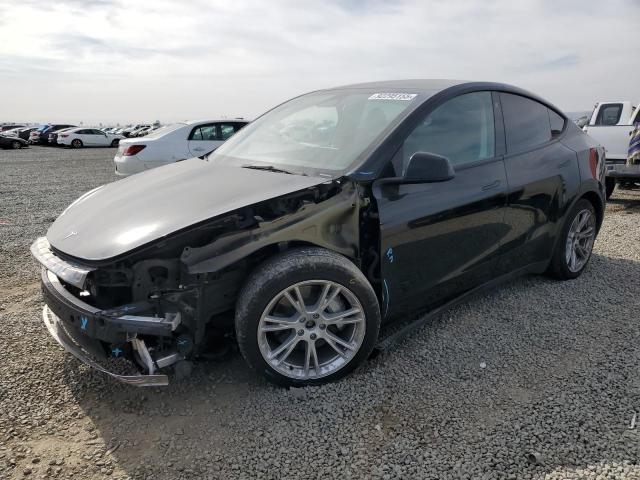 2023 TESLA MODEL Y — VIN 7SAYGDEEXPA085421