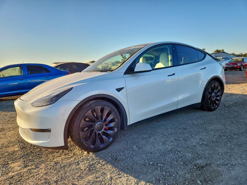 2022 TESLA MODEL Y — VIN 7SAYGDEF5NF491082