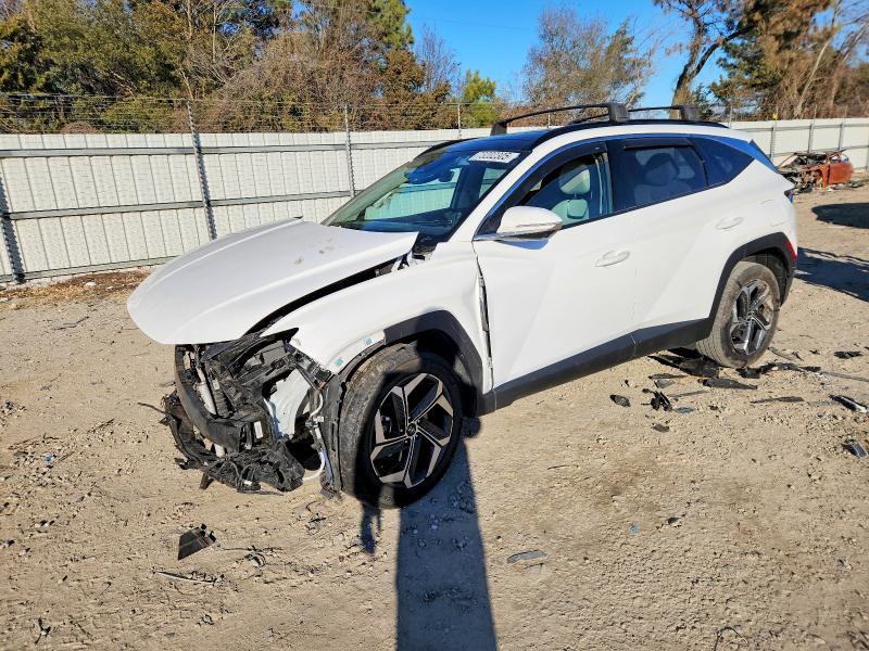 2023 HYUNDAI TUCSON — VIN 5NMJECAE2PH231851