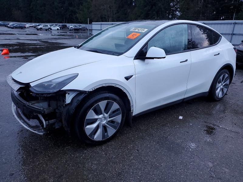 2023 TESLA MODEL Y — VIN 7SAYGDEE3PF815477