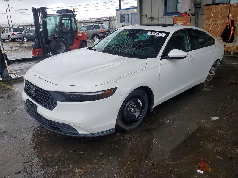2024 HONDA ACCORD — VIN 1HGCY1F36RA026205