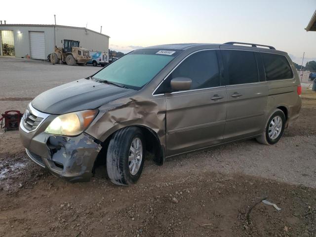 2009 HONDA ODYSSEY EX — VIN 5FNRL38659B408517