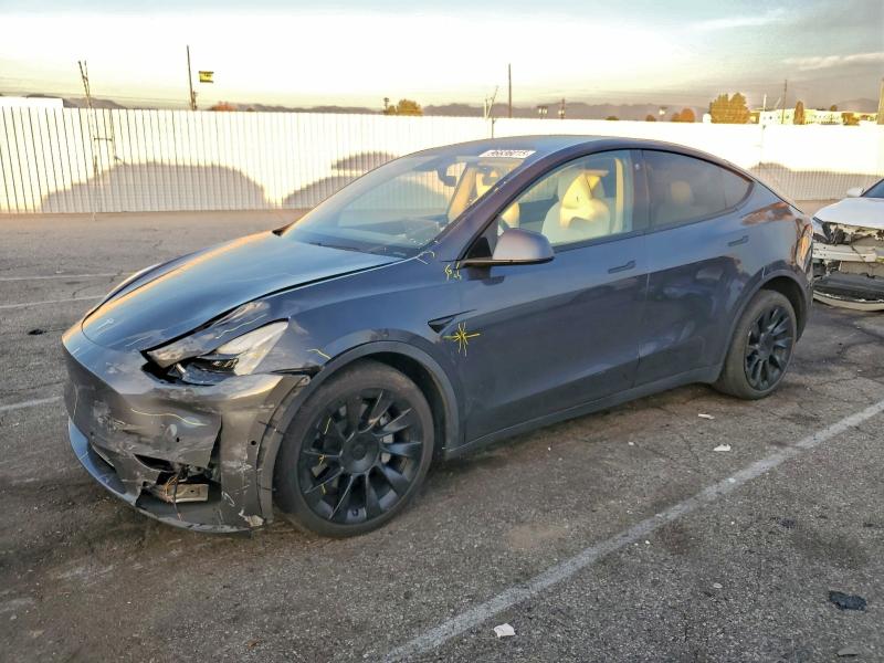 2021 TESLA MODEL Y — VIN 5YJYGDEE3MF069069