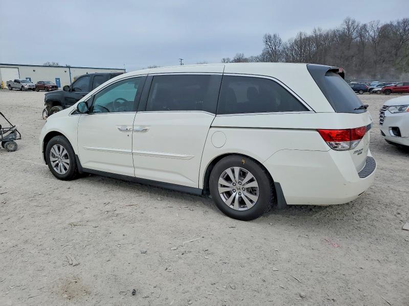 5FNRL5H64HB007907