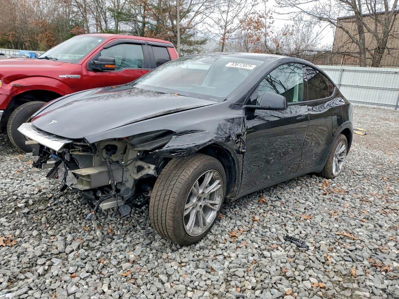 2023 TESLA MODEL Y — VIN 7SAYGDEE1PF863544