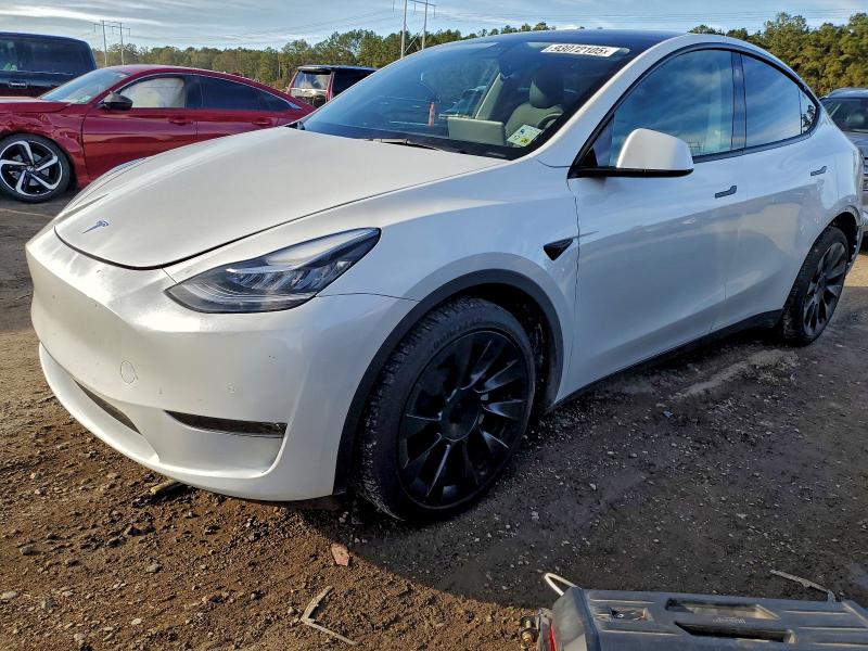 2022 TESLA MODEL Y — VIN 7SAYGDEE2NF425919