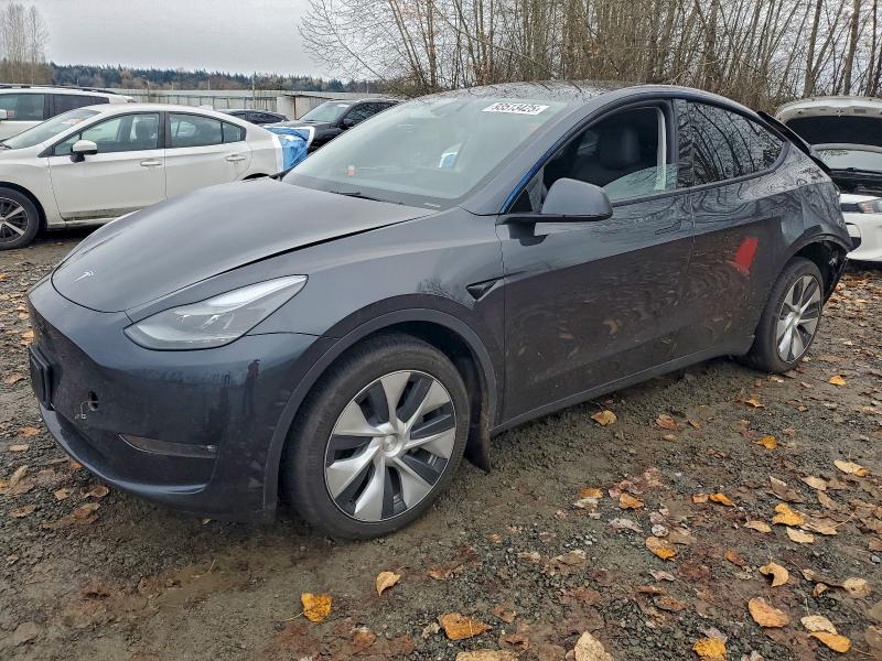 2024 TESLA MODEL Y — VIN 7SAYGDEE9RF014961