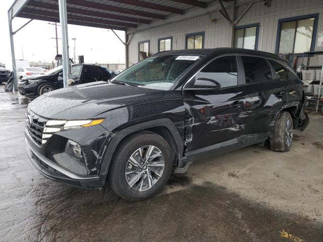 2024 HYUNDAI TUCSON BLU — VIN KM8JBCD14RU170835