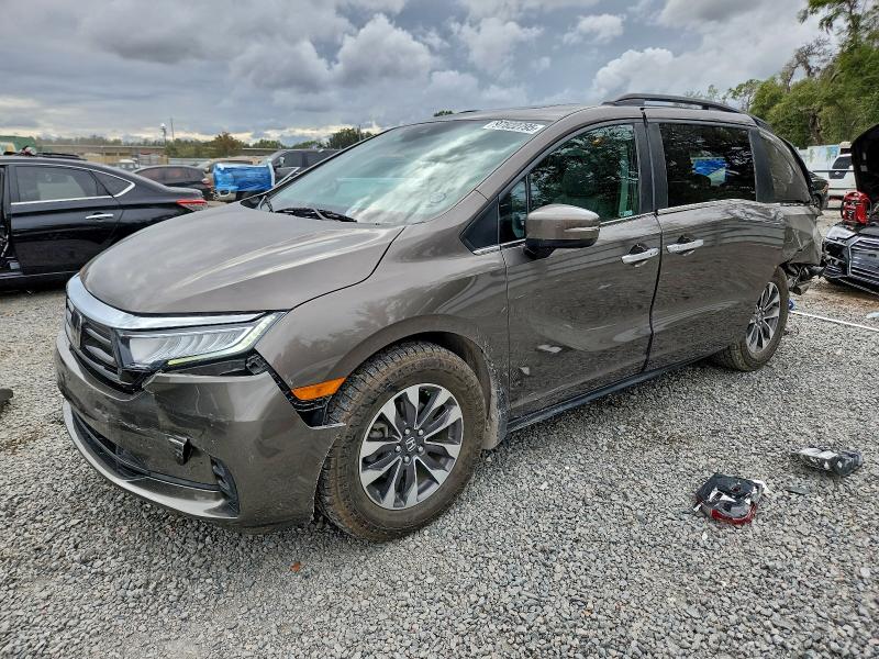 2022 HONDA ODYSSEY EX — VIN 5FNRL6H75NB061128