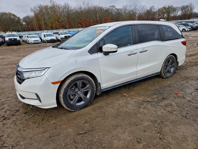 2022 HONDA ODYSSEY EX — VIN 5FNRL6H58NB020619
