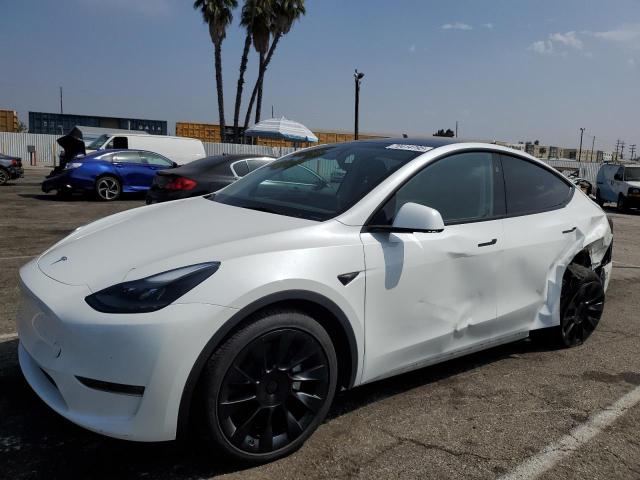 2024 TESLA MODEL Y — VIN 7SAYGDED6RF043891