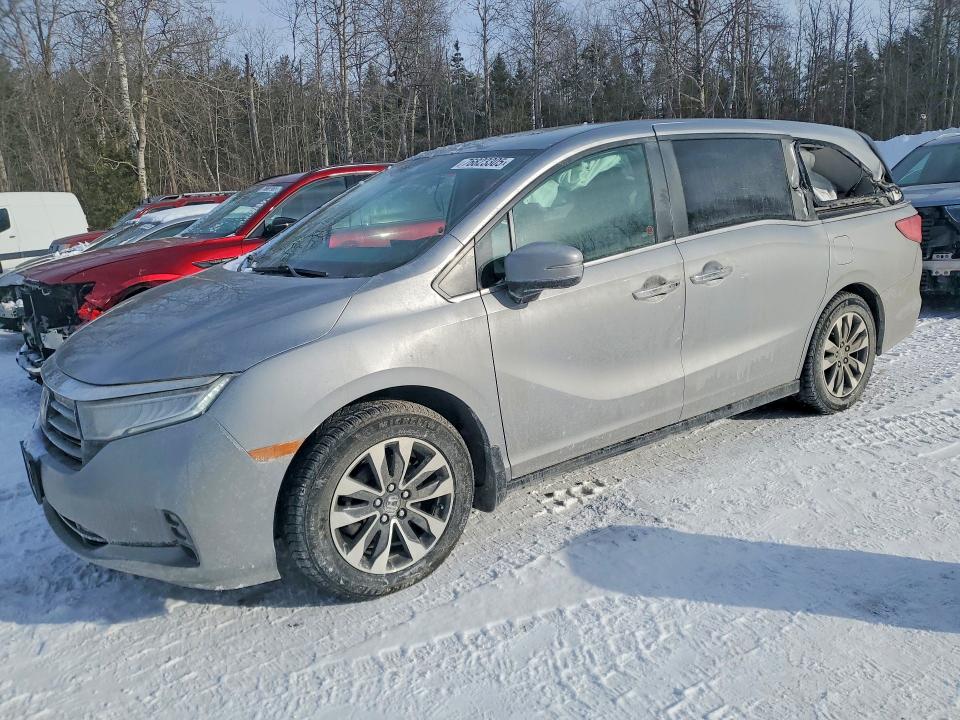 2022 HONDA ODYSSEY — VIN 5FNRL6H60NB502090