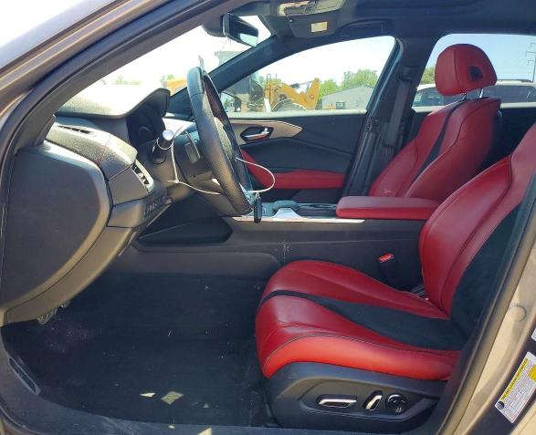 19UUB6F51PA001696