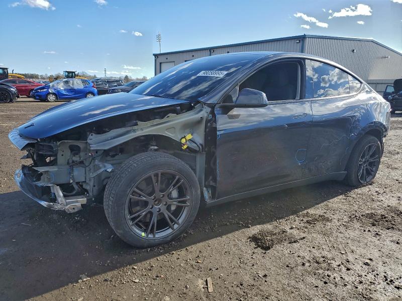 2025 TESLA MODEL Y — VIN 7SAYGDEEXSF292435