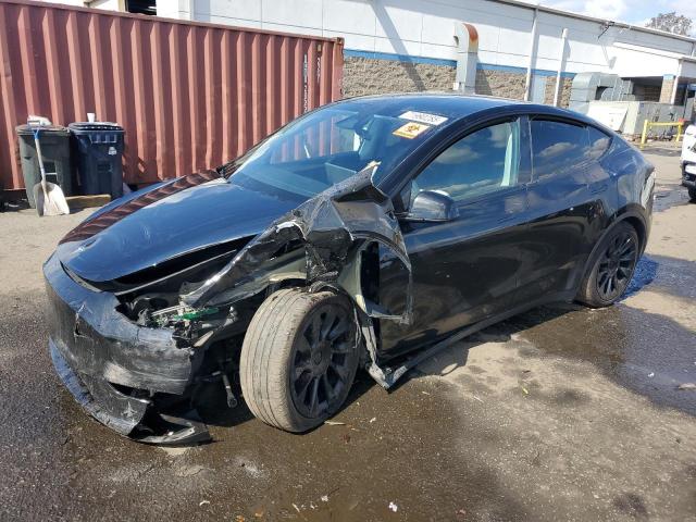 2024 TESLA MODEL Y — VIN 7SAYGDEE0RA225592