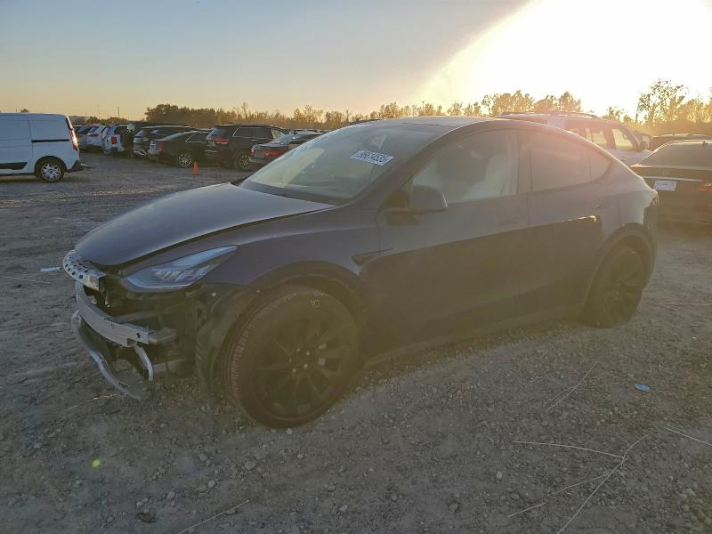 2023 TESLA MODEL Y — VIN 7SAYGDEE1PA135171