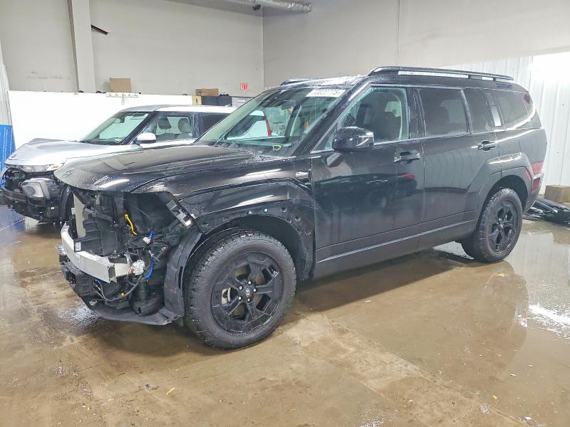 2025 HYUNDAI SANTA FE — VIN 5NMP3DGL9SH100601