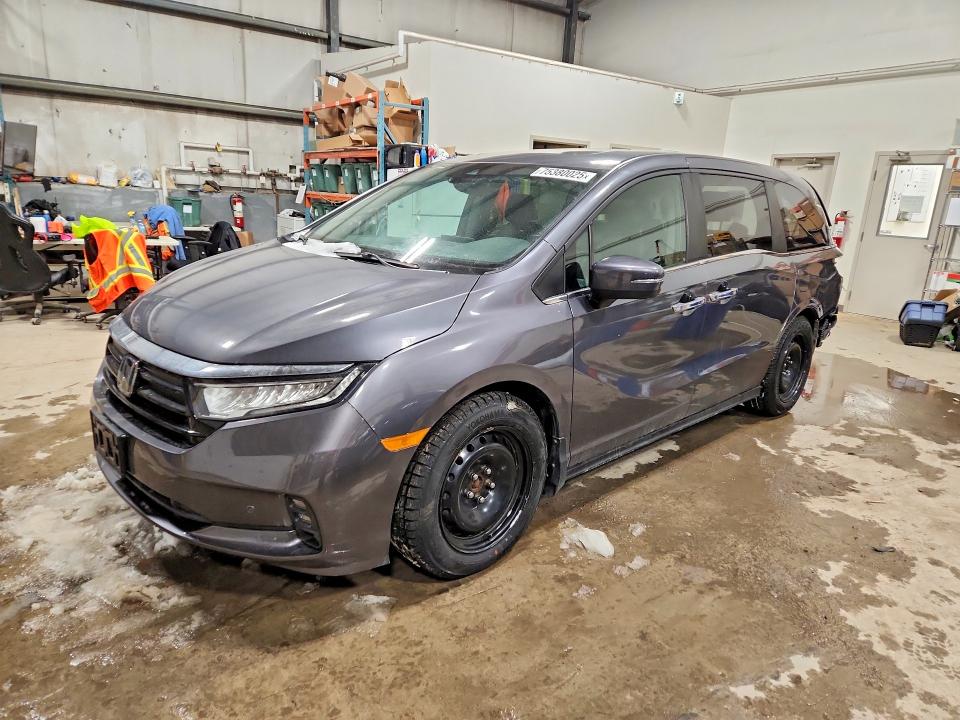 2023 HONDA ODYSSEY — VIN 5FNRL6H64PB503326
