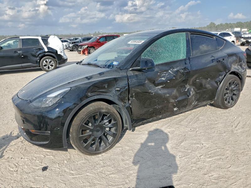 2023 TESLA MODEL Y — VIN 7SAYGDEE5PA184776