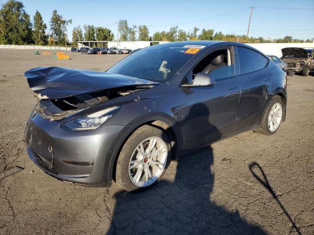 2021 TESLA MODEL Y — VIN 5YJYGDEE1MF196077