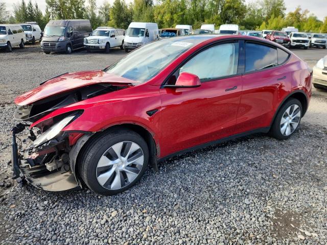 2023 TESLA MODEL Y — VIN 7SAYGDEE0PF910448