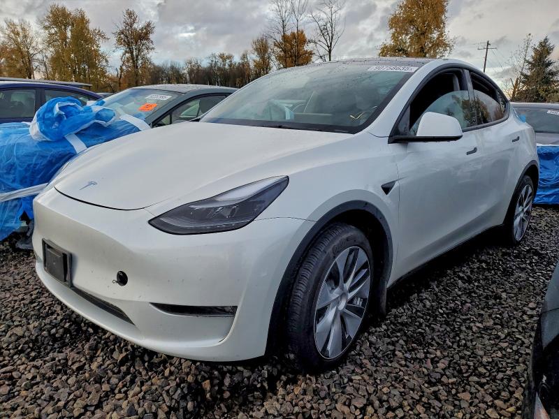 2024 TESLA MODEL Y — VIN 7SAYGDEE1RF090254