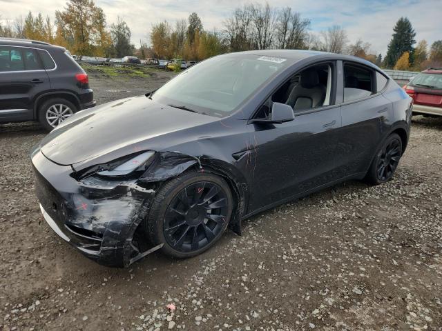 2024 TESLA MODEL Y — VIN 7SAYGDEEXRF157918