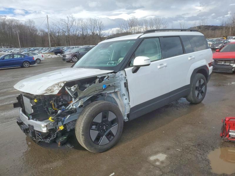 2025 HYUNDAI SANTA FE S — VIN 5NMP2DG16SH020979