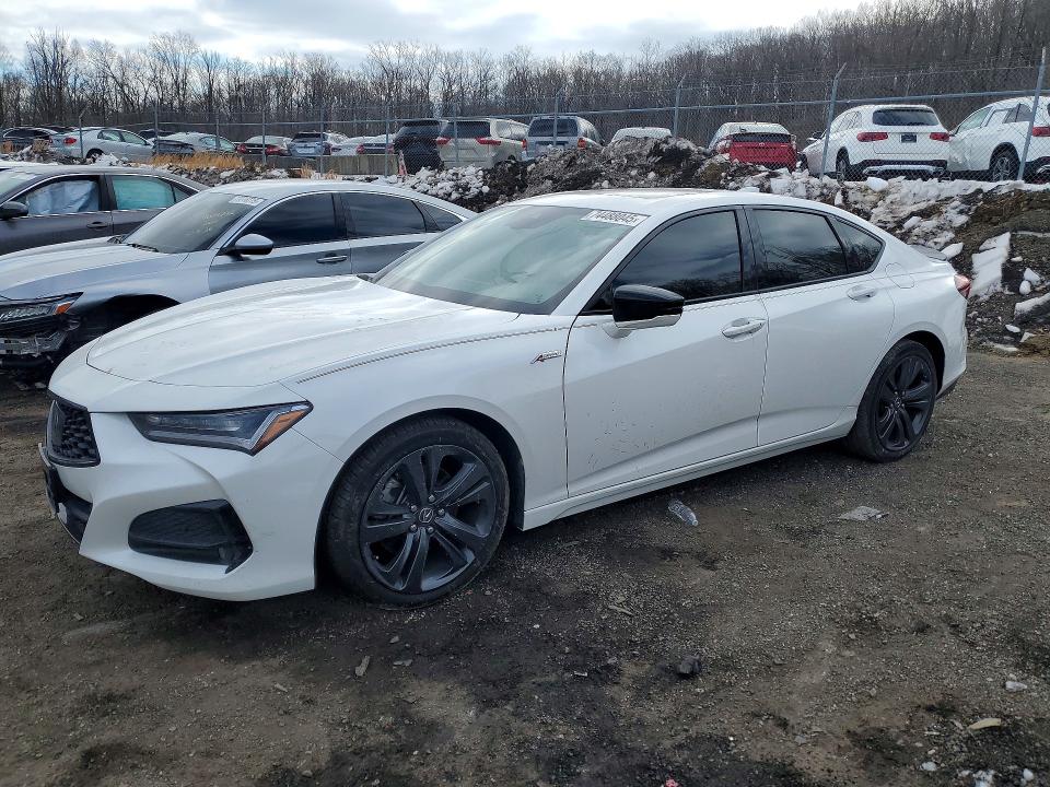 2021 ACURA TLX — VIN 19UUB6F55MA004788