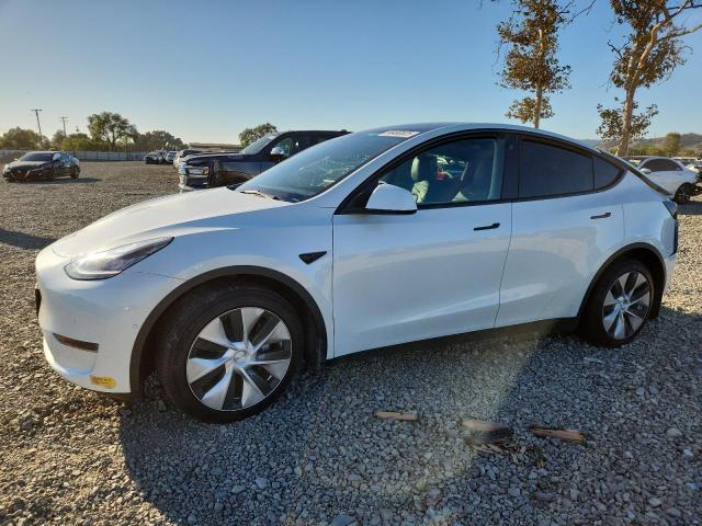 2021 TESLA MODEL Y — VIN 5YJYGDEE7MF109234